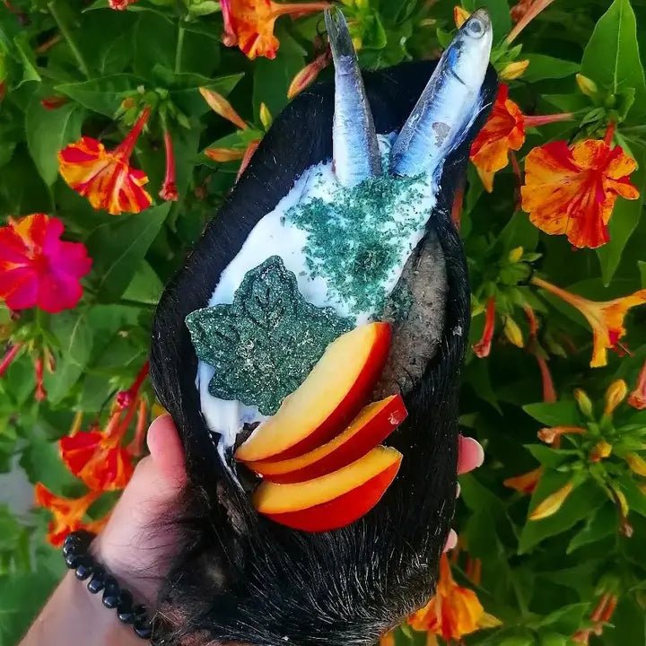 Cooka's Cookies Emerald Paste - kokos & groene spirulina - Shop with Marley's