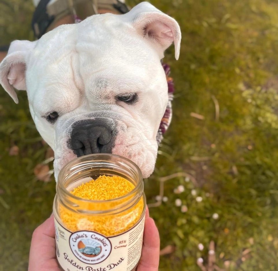 Cooka's Cookies Golden Paste Dust - maaltijdtopper gemaakt van kokos en kurkuma - Shop with Marley's