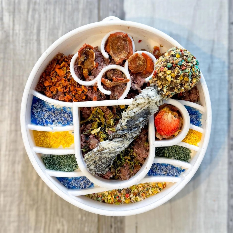 Cooka's Cookies Mermaid Dust - maaltijdtopper gemaakt van kokos en blauwe spirulina - Shop with Marley's