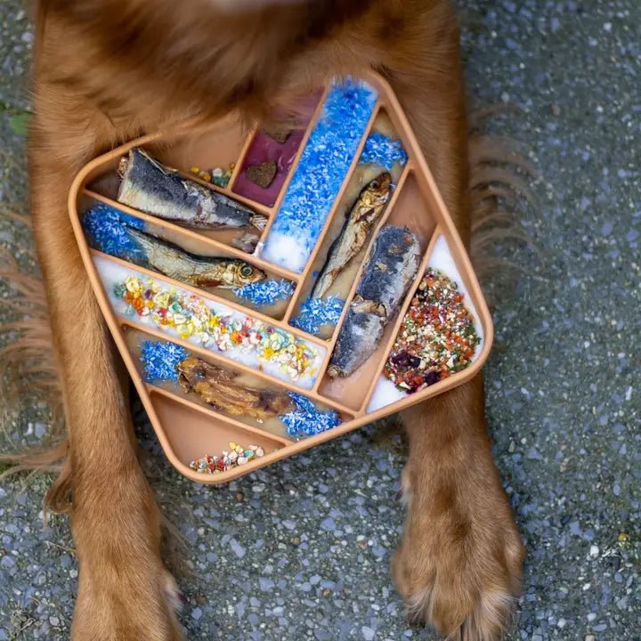 Cooka's Cookies Mermaid Dust - maaltijdtopper gemaakt van kokos en blauwe spirulina - Shop with Marley's