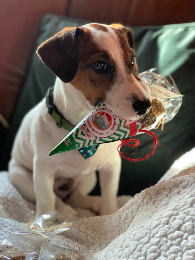 Cooka's Cookies Woofmas Balls - Chicken & Tuna - Shop with Marley's