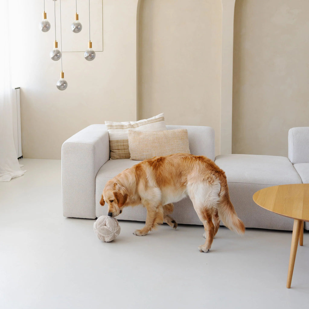 District70 - BOBBY - snuffelbal - Shop with Marley's