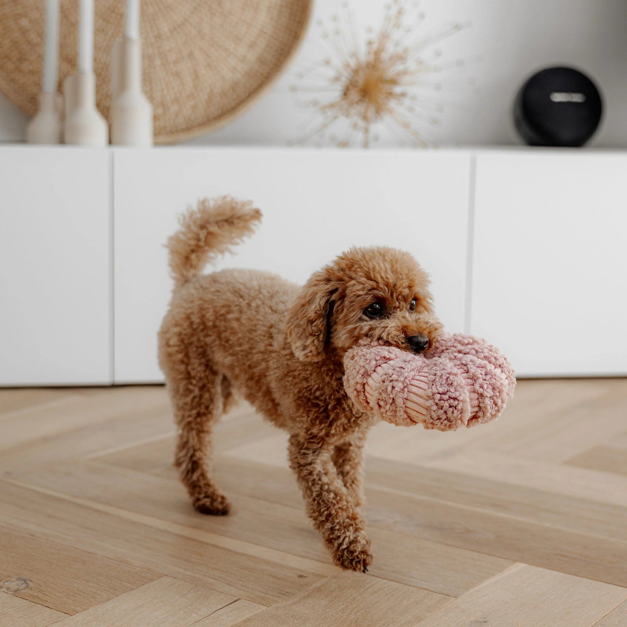 District70 - DAISY - snuffelspeeltje - Shop with Marley's