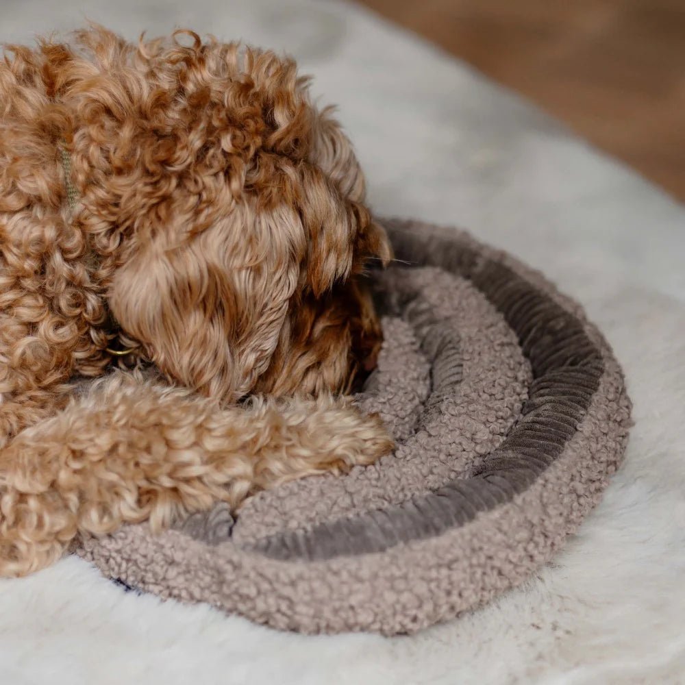 District70 - SWIRL - snuffelspeeltje - Shop with Marley's