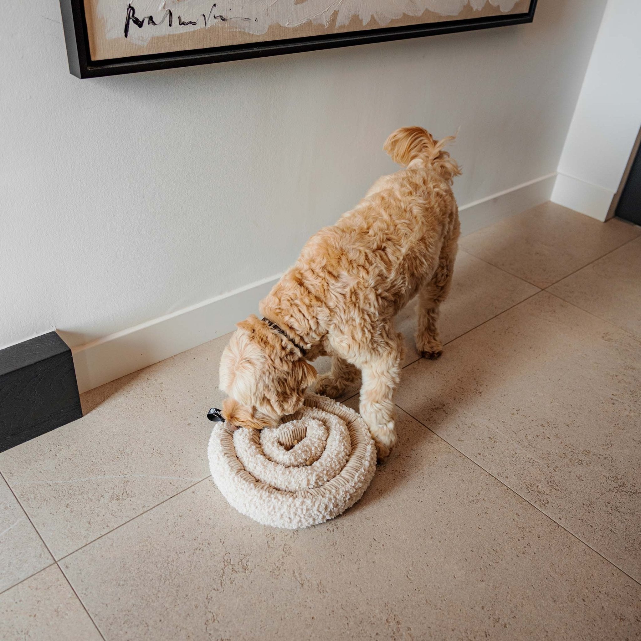 District70 - SWIRL - snuffelspeeltje - Shop with Marley's