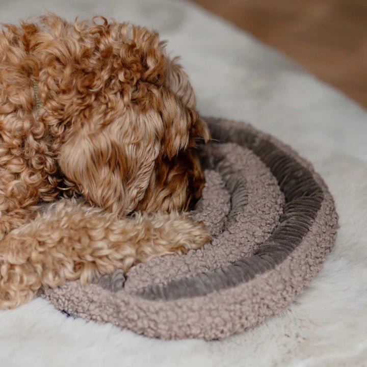 District70 - SWIRL - snuffelspeeltje - Shop with Marley's