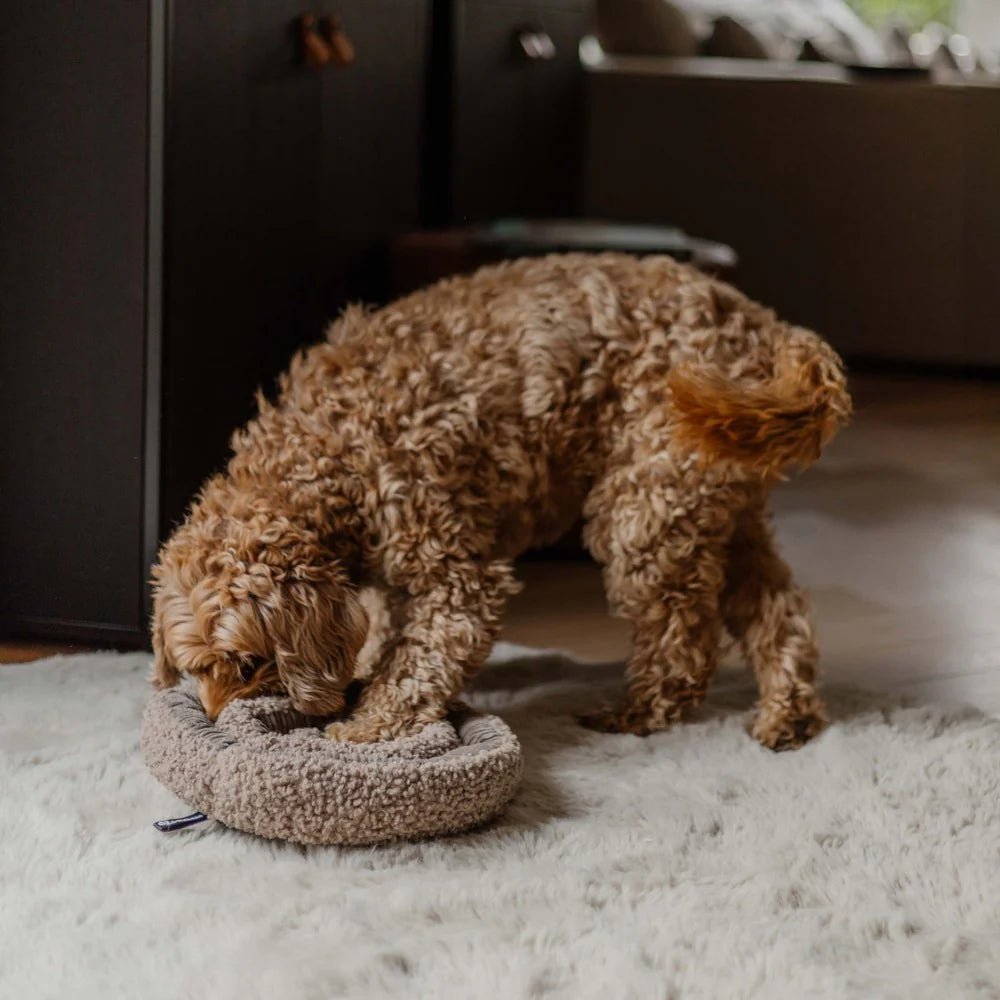 District70 - SWIRL - snuffelspeeltje - Shop with Marley's