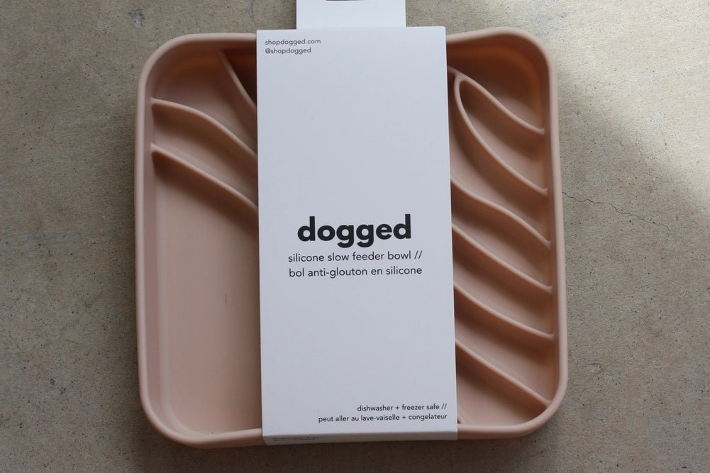 Dogged slowfeeder bowl Beach - Shop with Marley's