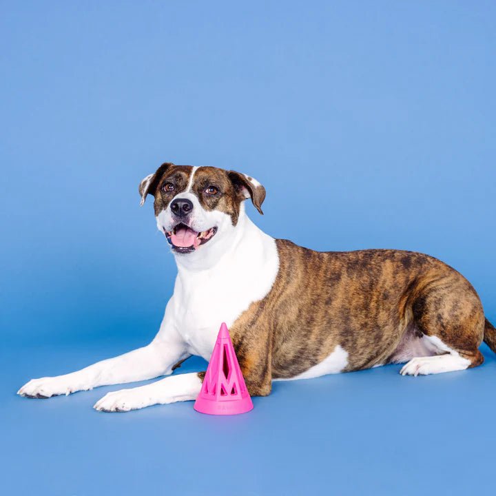 Fringe You cone do it pink - Shop with Marley's