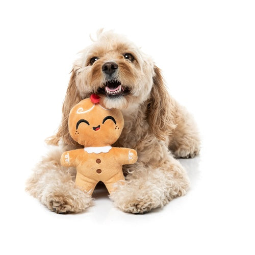 Lichtbruine hond met FuzzYard Doughlila peperkoekvrouw tussen de voorpoten