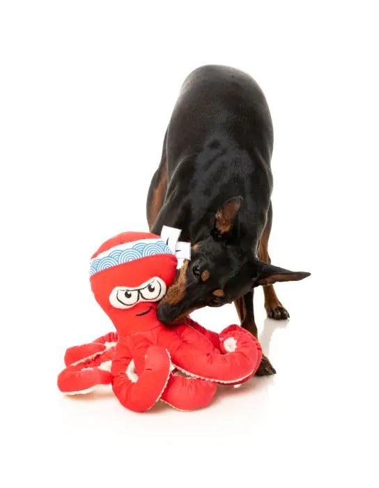 FuzzYard Octo - pose Takoyaki - Shop with Marley's