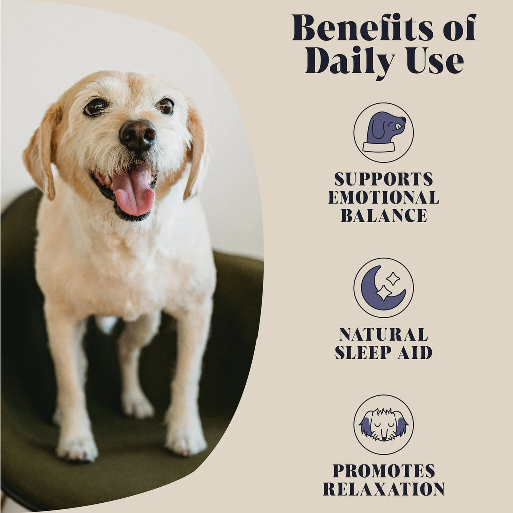 Hackney Dog House Calming Topper (150gr) - kalmerende geitenmelk - Shop with Marley's