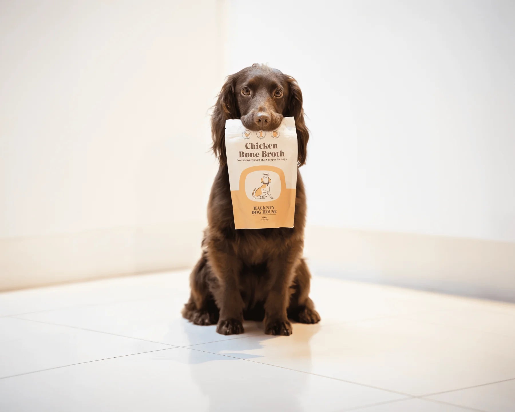 Hackney Dog House Chicken Bone Broth - Shop with Marley's