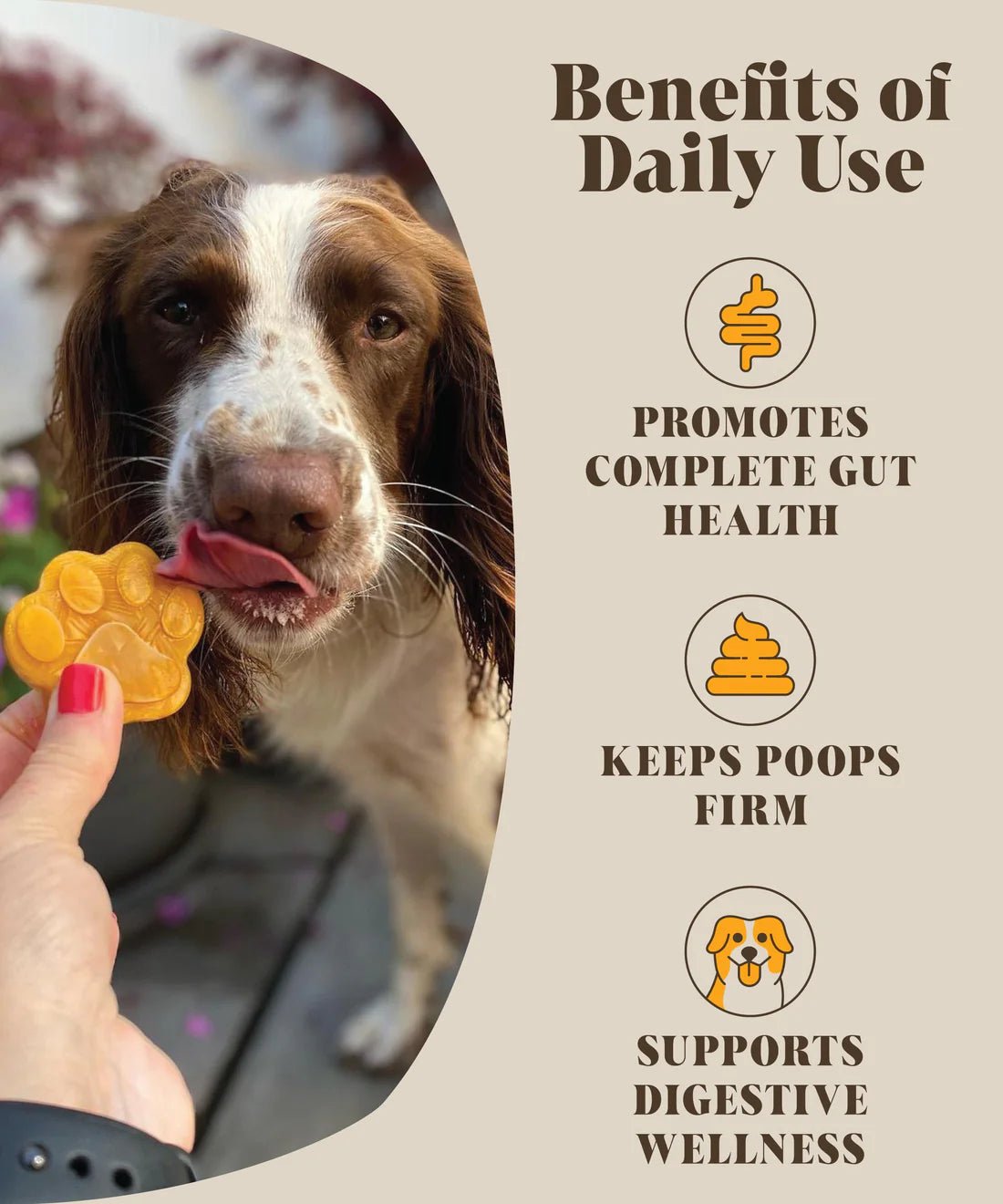 Hackney Dog House Pumpkin & Probiotics - Shop with Marley's