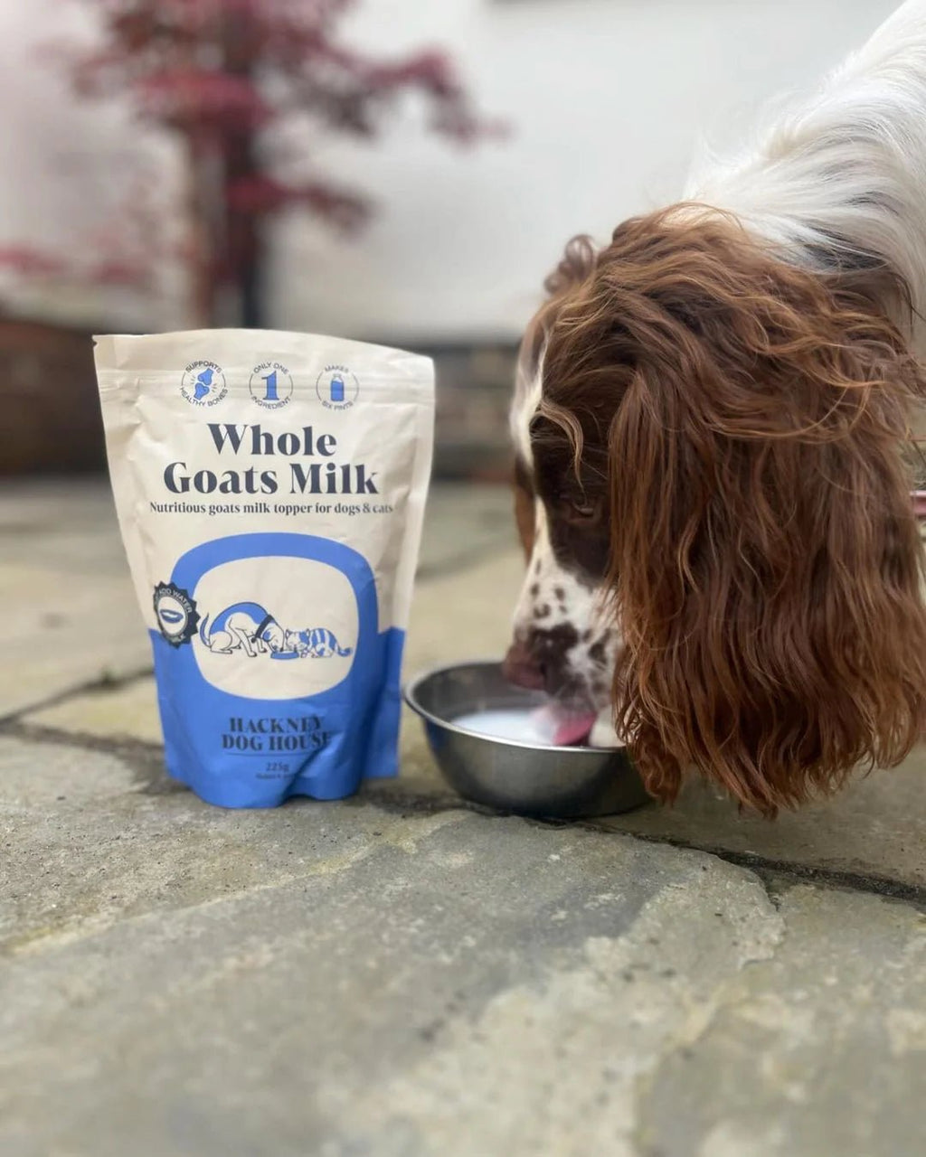 Hackney Dog House Whole Goats Milk - geitenmelkpoeder - Shop with Marley's
