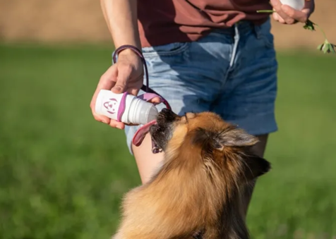 Doggyroller gevuld met vloeibare beloning voor hond shop with marley's