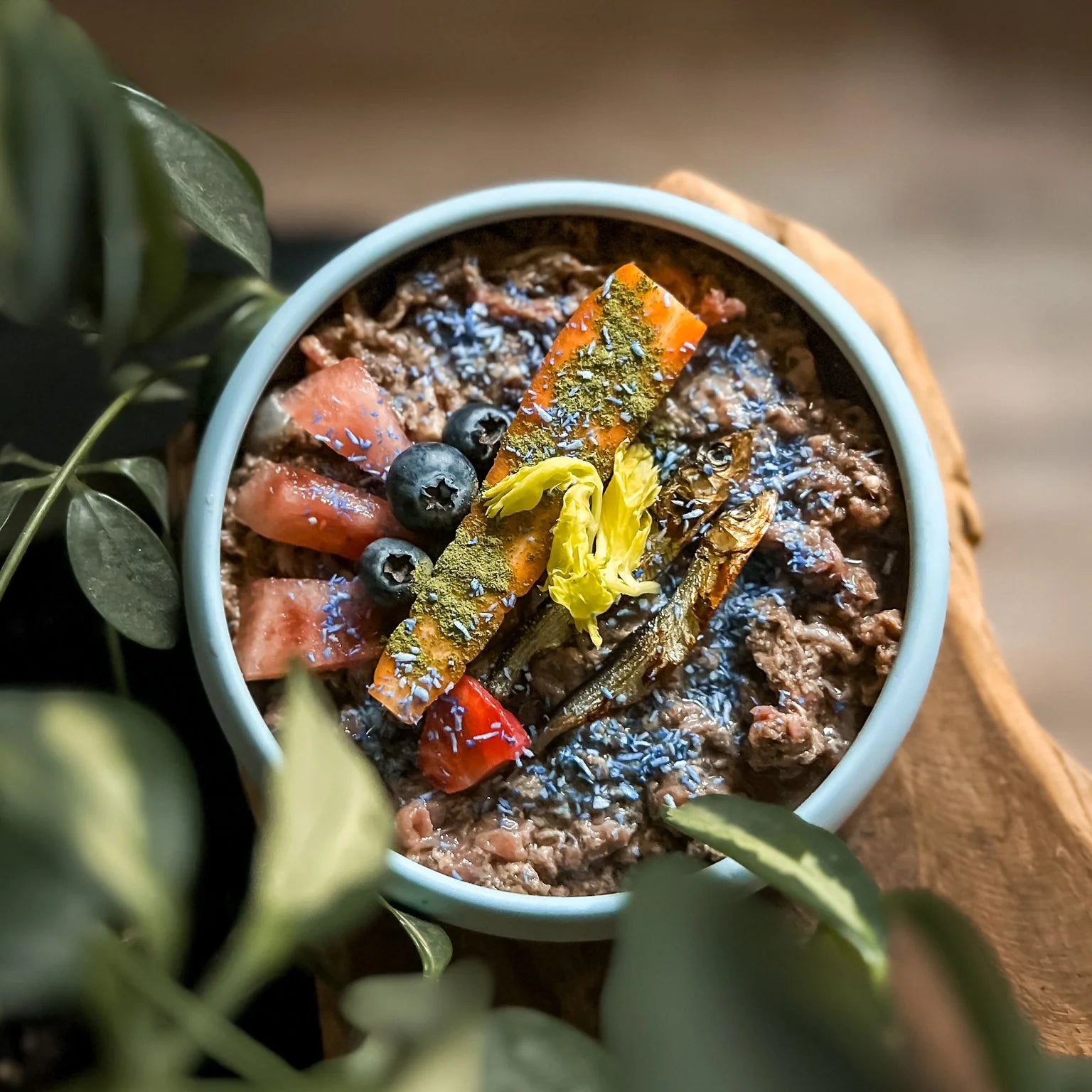 Voerbak voor hond met vlees, groenten, blauwe bessen en toppers zoals kruiden en pompoenpuree