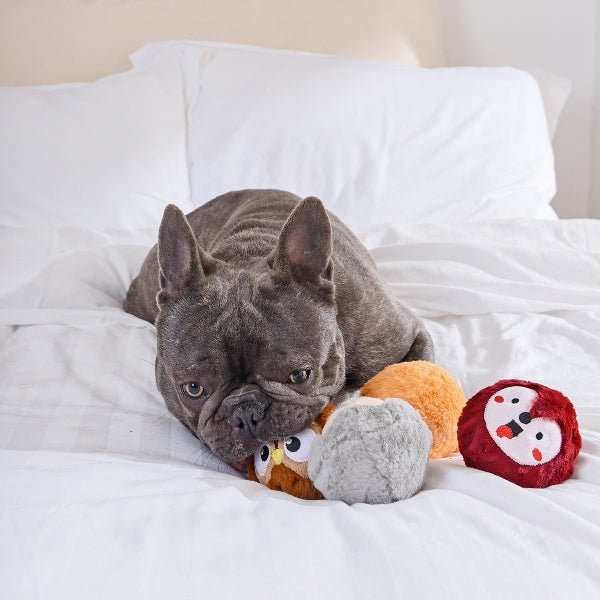Hugsmart Zoo Ball – Owl - Shop with Marley's