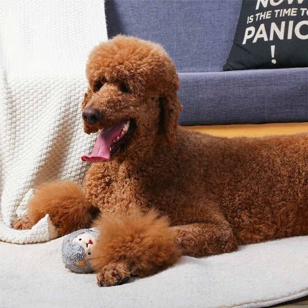 Hugsmart Zoo Ball – Sheep - Shop with Marley's