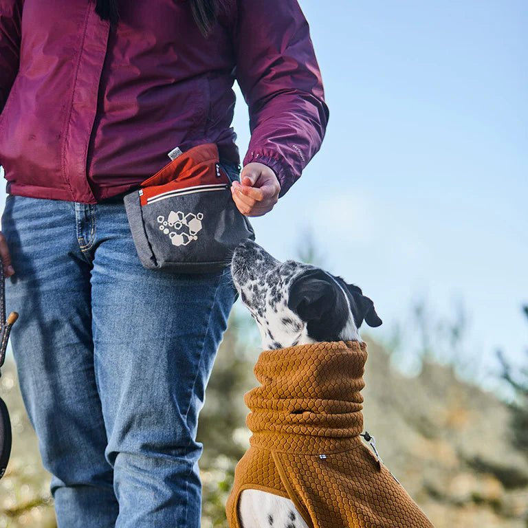 Hurtta ECO Treat Pocket Blackberry mix - Shop with Marley's