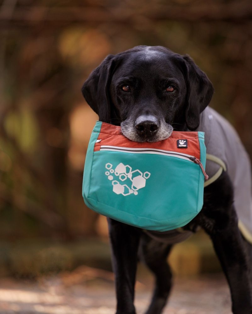 Hurtta ECO Treat Pocket Peacock mix - Shop with Marley's