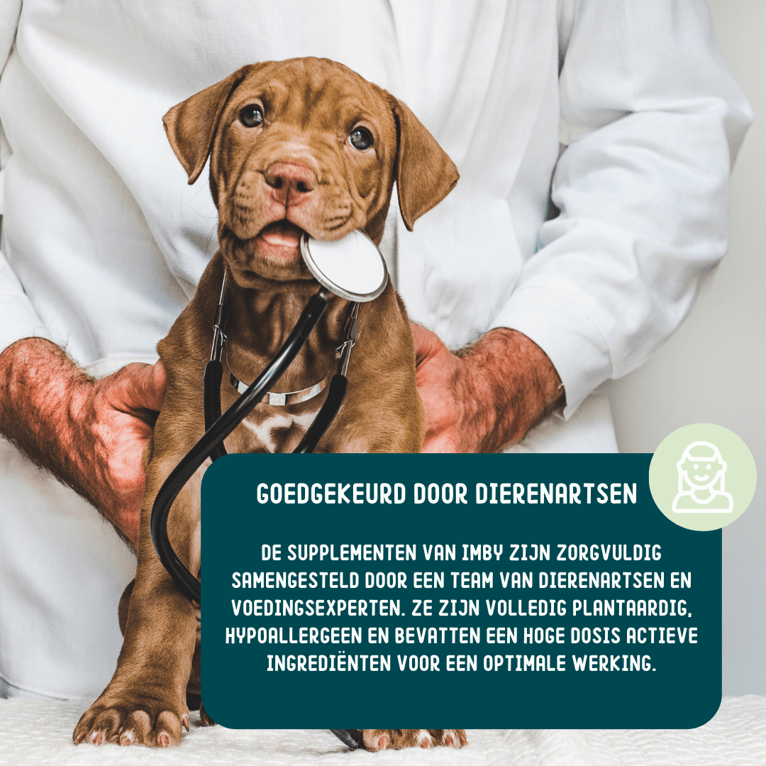 Imby Calming chews supplement - Shop with Marley's