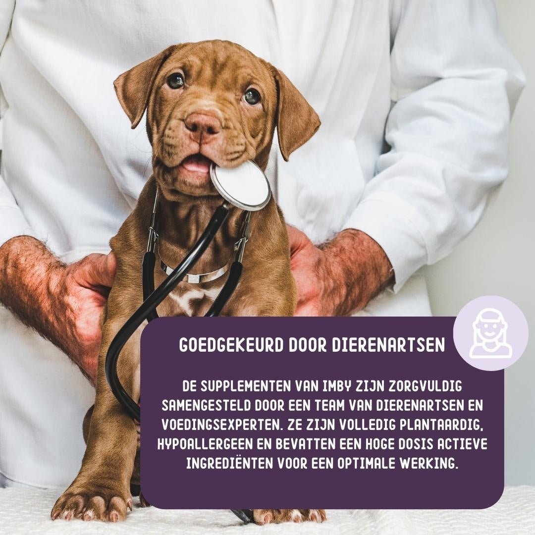 Imby Hip & Joint chews supplement - Shop with Marley's