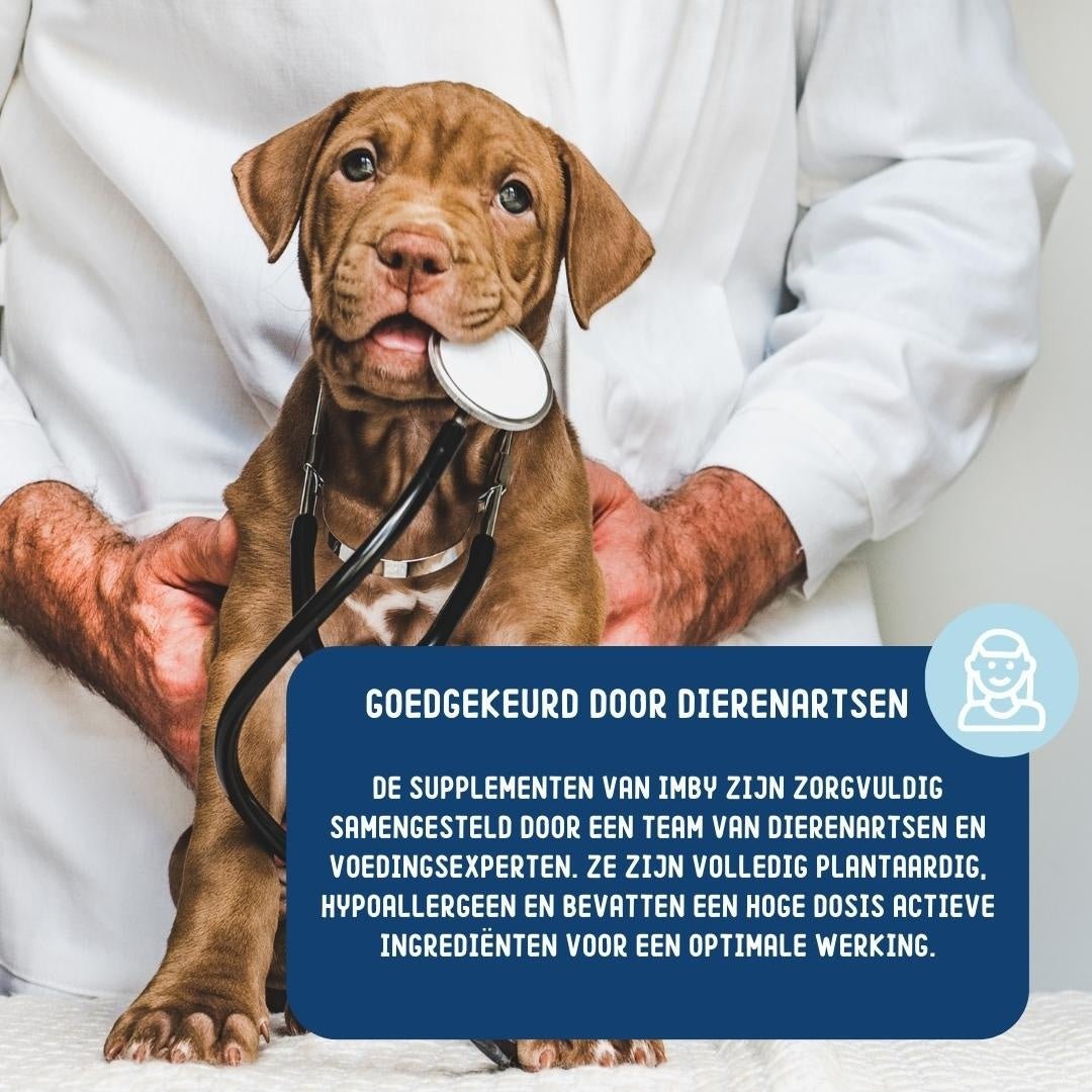 Imby Probiotica chews supplement - Shop with Marley's