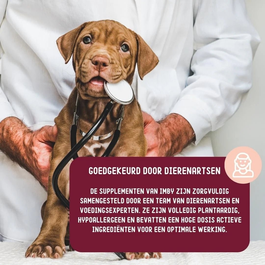 Imby Skin Health chews supplement - Shop with Marley's