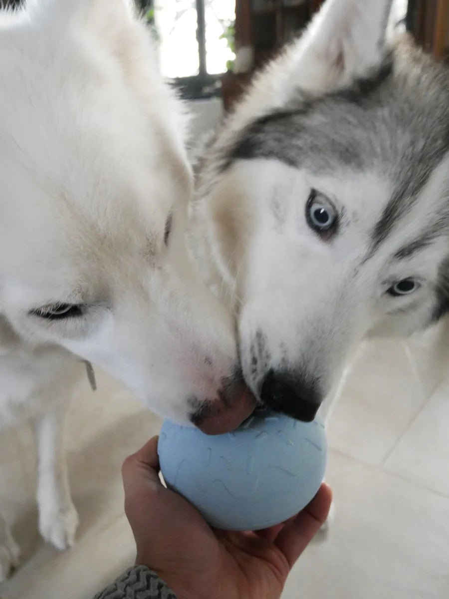 Inooko Yoomy Donut - Bleu - Enrichment voerspeeltje - Shop with Marley's