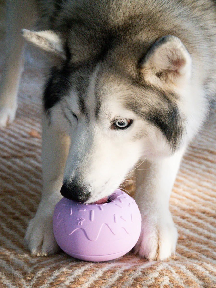 Inooko Yoomy Donut - Lavendel - Enrichment voerspeeltje - Shop with Marley's