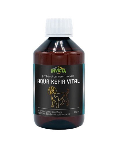 Invicta Aqua Kefir Vital (250ml) - Shop with Marley's