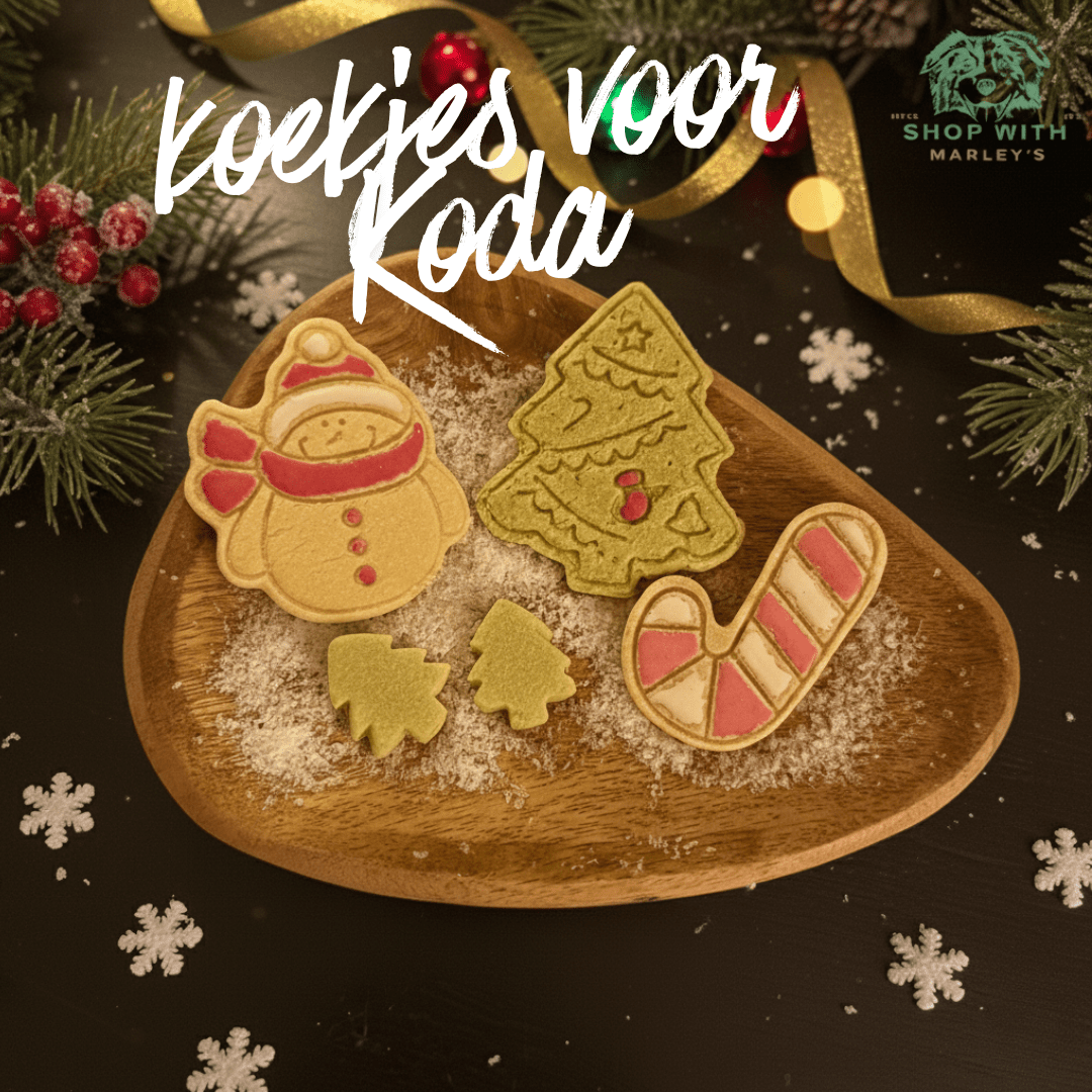 Koekjes voor Koda - doneeractie - HELP KODA! - Shop with Marley's
