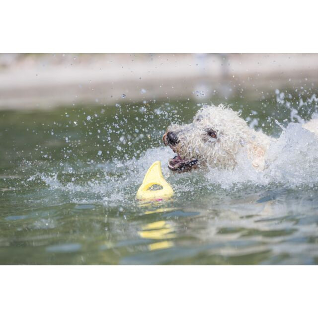 Trixie waterspeeltje aqua toy haaienvin