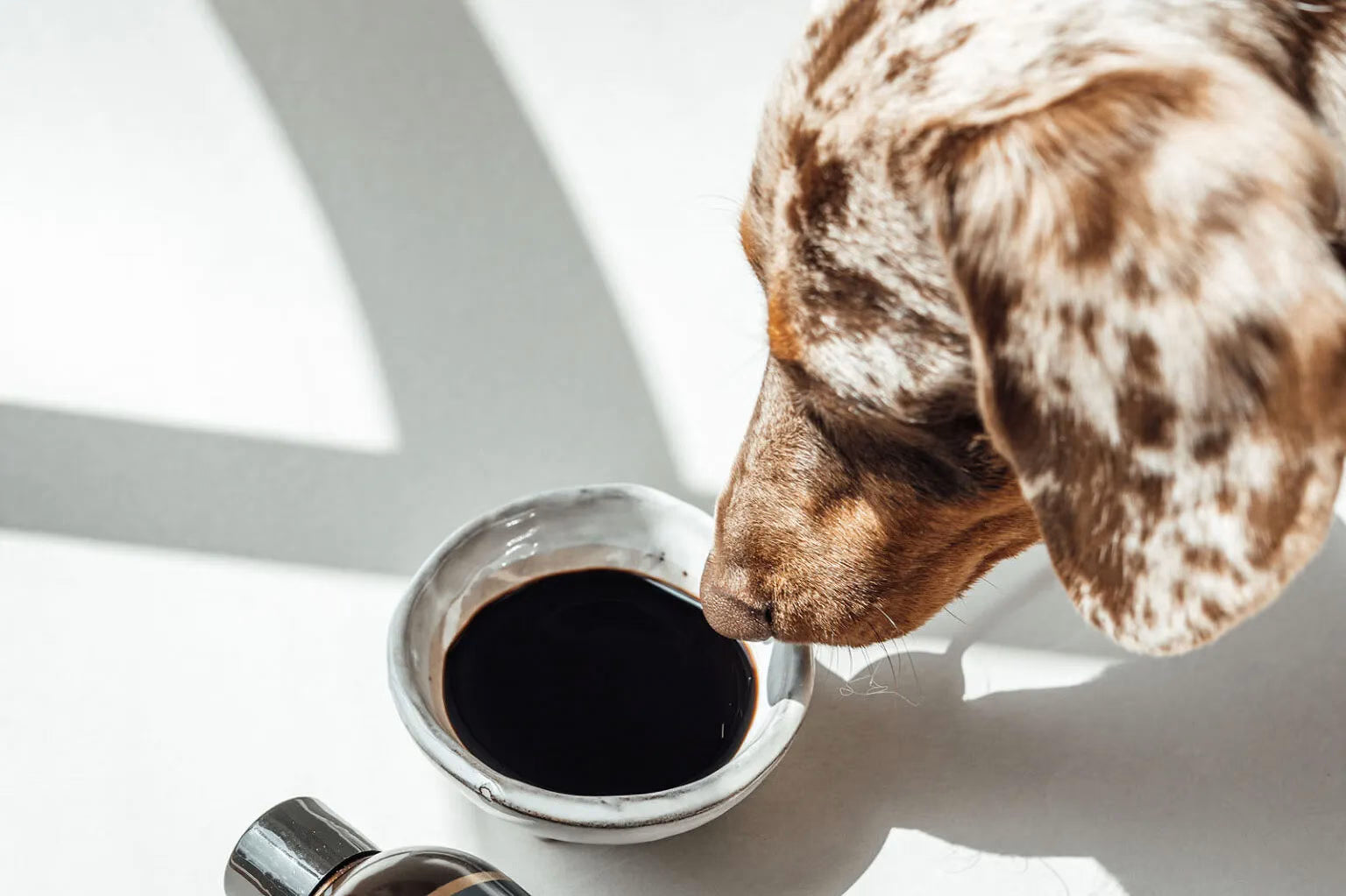 Moor tonic voor honden van Lila Loves It – natuurlijke veendrenkstof ter ondersteuning van de spijsvertering en darmbalans