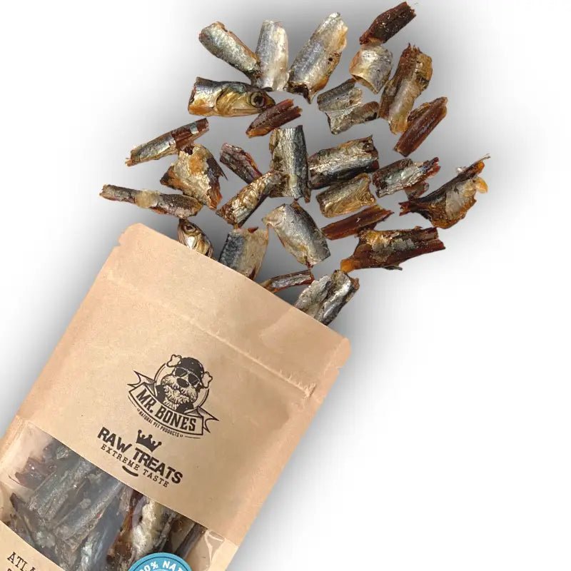 Mr. Bones Raw Treats Anjovis (45gr) - Shop with Marley's