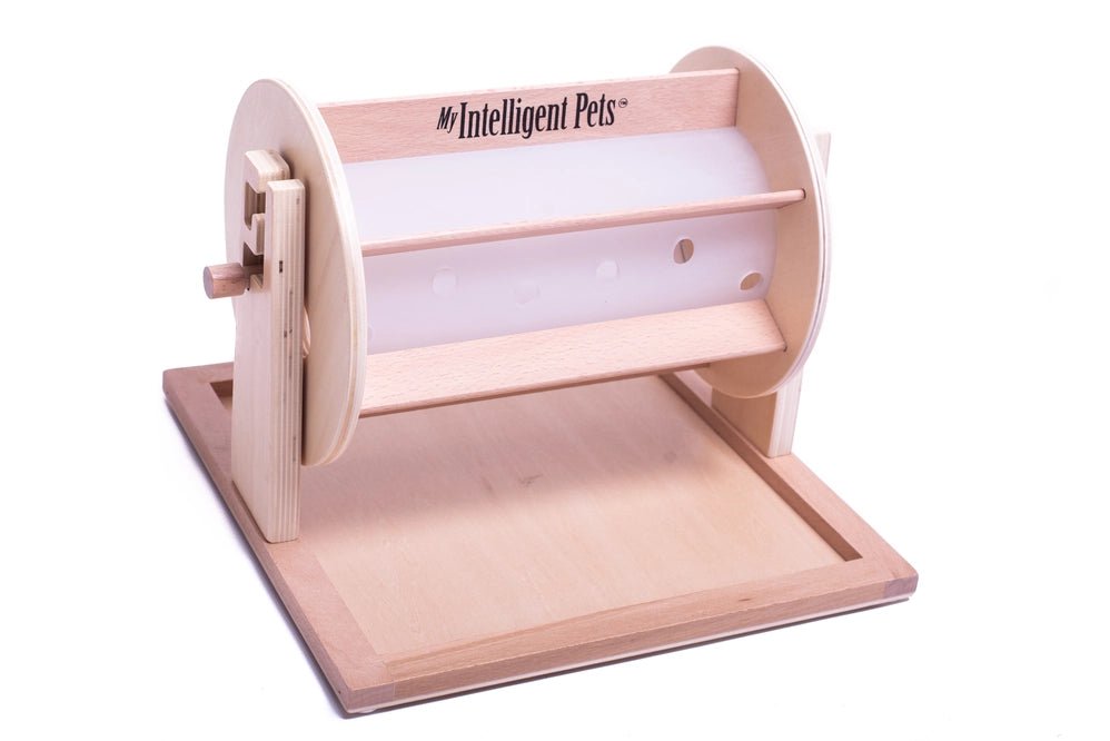 My Intelligent Pets Wheel of Fortune - Shop with Marley's