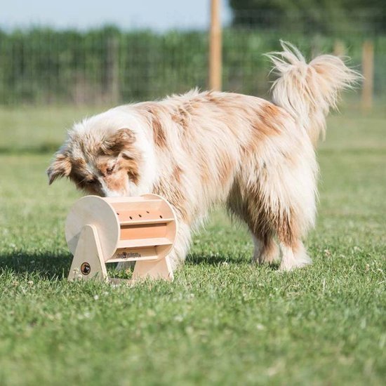 My Intelligent Pets Wheel of Fortune - Shop with Marley's