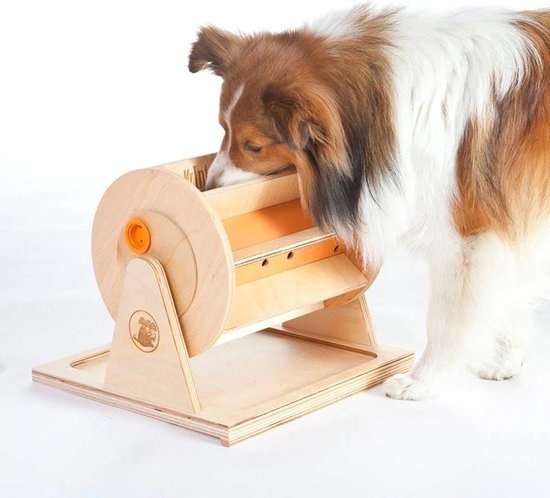 My Intelligent Pets Wheel of Fortune - Shop with Marley's