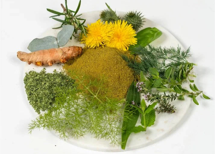 Natuly - Bio-Chi vitaminen voor carnivoren - natuurlijke bron van omega's, vitaminen en mineralen - zuiverend en ondersteunend - 250 gram - Shop with Marley's