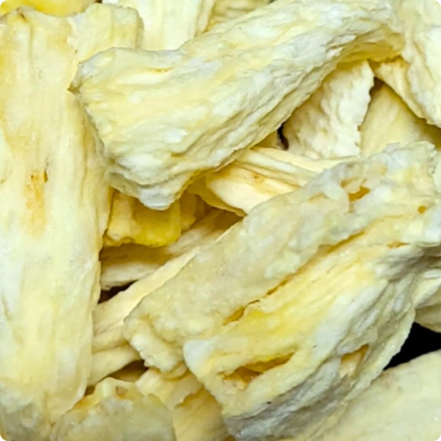 Organica gevriesdroogd fruit - Ananas (16gr) - Shop with Marley's