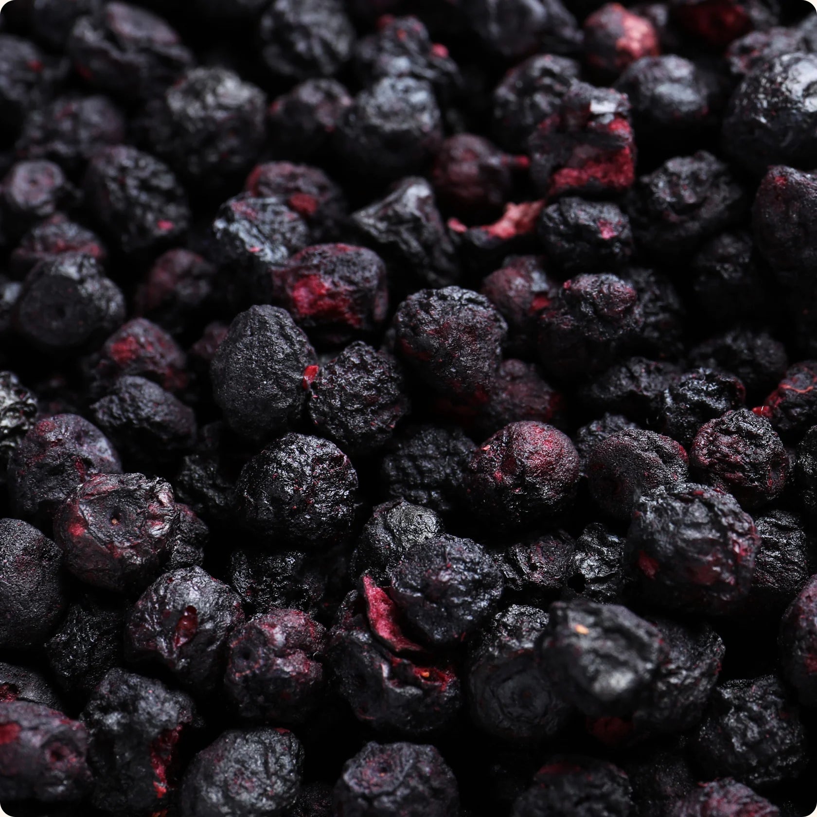 Organica gevriesdroogd fruit - Bosbessen (16gr) - Shop with Marley's