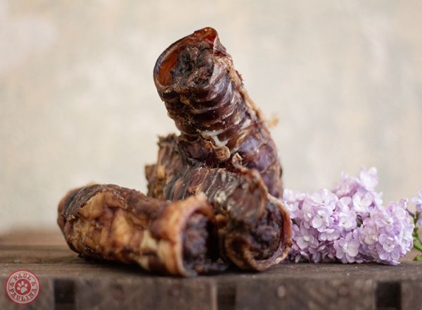 Paul & Paulina Cannelloni (5stuks) - Shop with Marley's