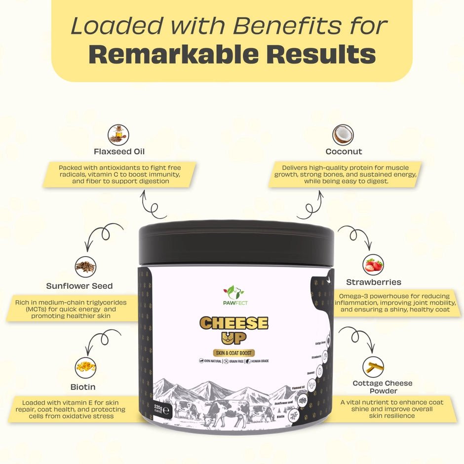 Pawfect Topper Cheese up! - maaltijdtopper van yakkaas - Shop with Marley's