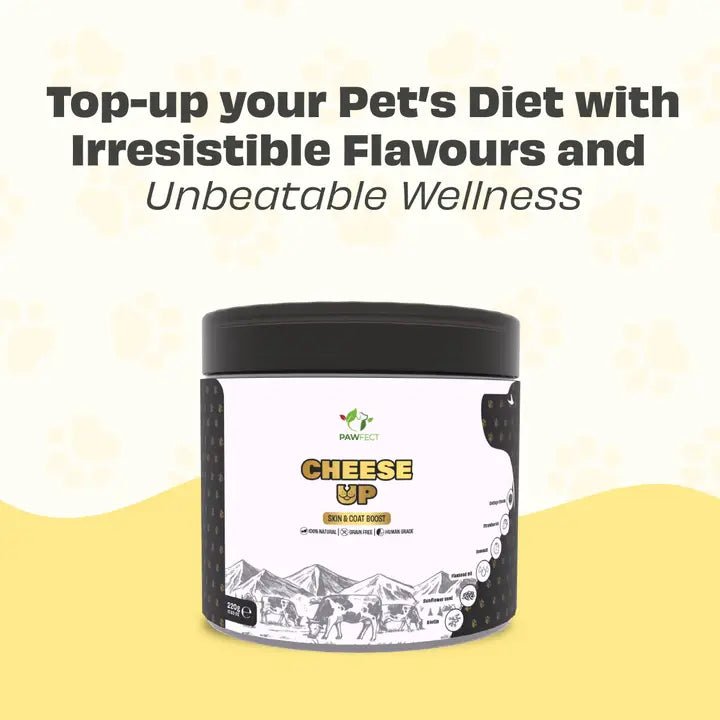 Pawfect Topper Cheese up! - maaltijdtopper van yakkaas - Shop with Marley's