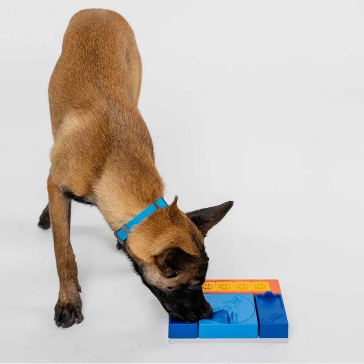 Pawzler Beginner Set - modulaire interactieve hondenpuzel - Shop with Marley's