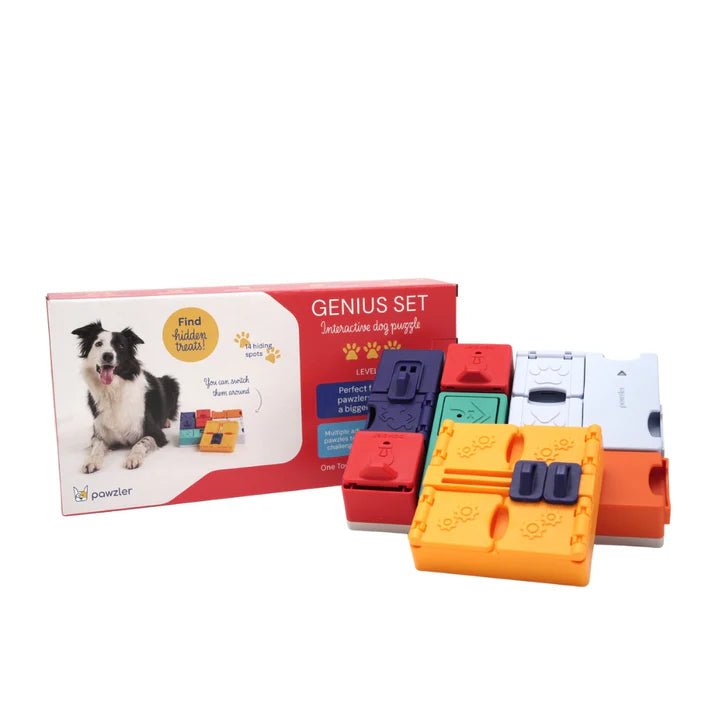 Pawzler Genius Set - modulaire interactieve hondenpuzzel - Shop with Marley's