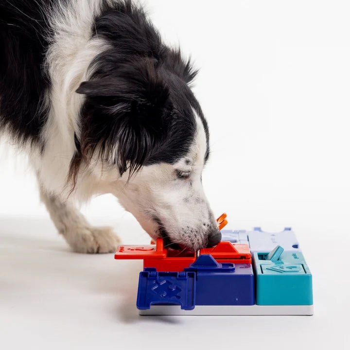 Pawzler Genius Set - modulaire interactieve hondenpuzzel - Shop with Marley's