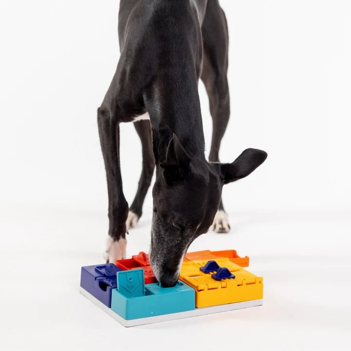 Pawzler Genius Set - modulaire interactieve hondenpuzzel - Shop with Marley's
