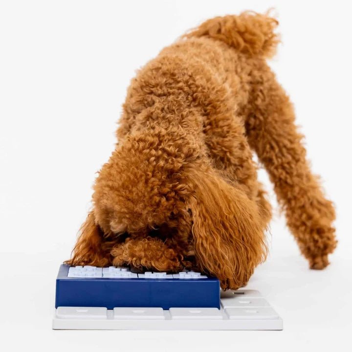 Pawzler los puzzelstuk – Louvre - Shop with Marley's